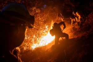 Zelenskis siūlo į pagalbą Los Andželui 150 ukrainiečių ugniagesių