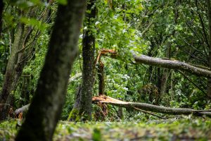 NKVC dėl audros nuostolių skelbti ekstremalios situacijos nerekomenduoja