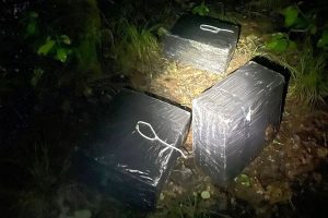 Pabradietis pasienio miške „užsidirbo“ šešių tūkstančių eurų baudą