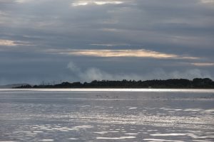 Kuršių nerijoje atidaroma nacionalinio parko Gamtos mokykla