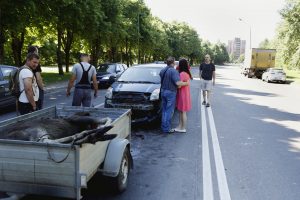 Rudens pavojai: gyvūnų migracija sėja avarijas