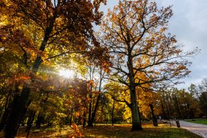 Rugsėjis stebina meteorologus: tokio dar nėra buvę   