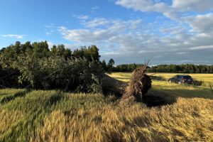 Audros žala: išmokos ūkininkams skaičiuojamos milijonais eurų