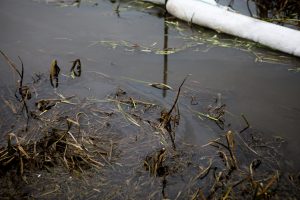 Smeltalės upelyje pastebėti teršalai