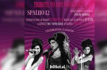 Pramoginėje programoje „A Tribute to Amy“ – nenugalimas A. Winehouse stilius ir atmosfera