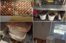 Kelia šleikštulį: duonos kepykloje – vištų išmatomis aplipę kiaušiniai, neplauti indai ir musės