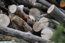 Vyriausybė svarstys siūlymą dalį mokesčių už medieną skirti savivaldybių keliams