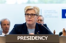 Premjerė: perėmus pirmininkavimą ET Ministrų komitetui prioritetas – parama Ukrainai