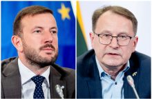 V. Sinkevičiui ir D. Žalimui – Europos Parlamento komitetų vicepirmininkų postai