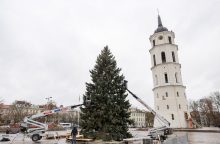 Vilnių puoš natūrali eglė, bus pristatytas interaktyvus Kalėdų žemėlapis